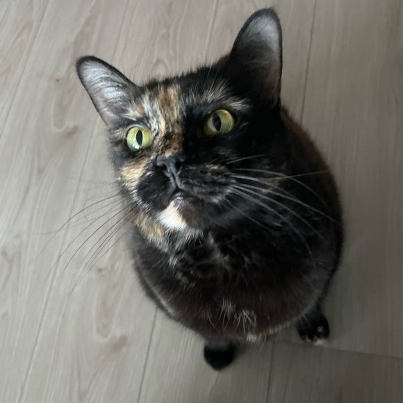 Everything listed after this post is sold! - Picture 7 of 11